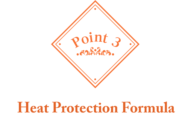 Point 3: Heat Protection Formula